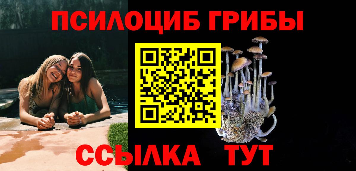 Псилоцибиновые грибы Psilocybine cubensis  продажа наркотиков  Вход с VPN  Семёнов  Псилоцибиновые грибы GOLDEN TEACHER 